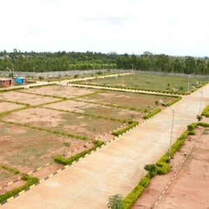100 gaaj plot